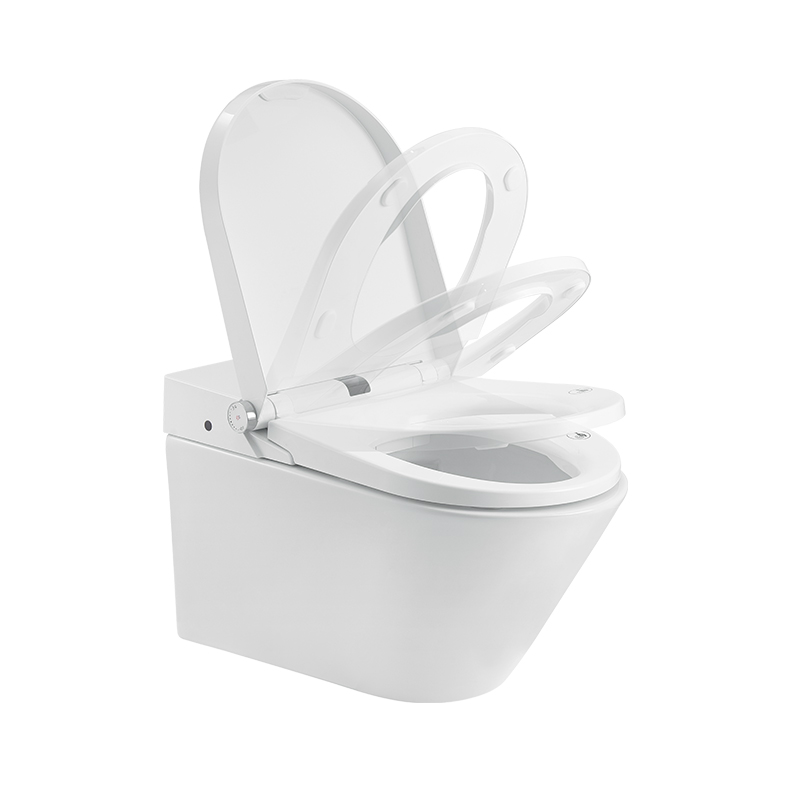 one-button-function-rimless-smart-toilet--2-_199718.jpg