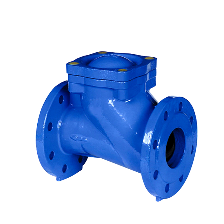 Iron Ball Check Valve Overview