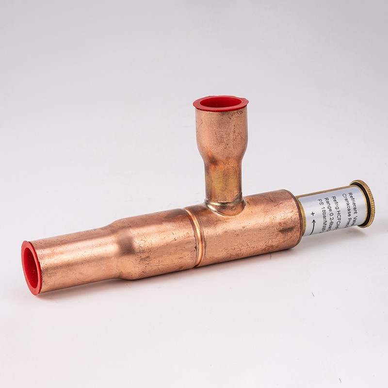 Pressure Regulator: The Silent Guardian of Your Systems